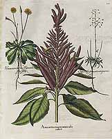  no thumbnail available