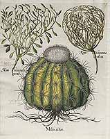  no thumbnail available