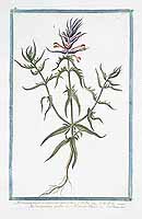  no thumbnail available