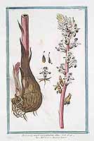  no thumbnail available