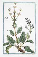  no thumbnail available