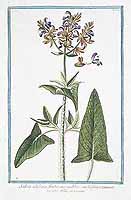  no thumbnail available