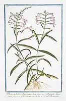  no thumbnail available