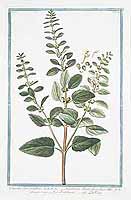  no thumbnail available