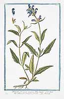  no thumbnail available