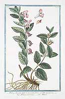  no thumbnail available