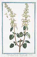  no thumbnail available