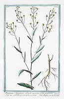  no thumbnail available