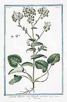  no thumbnail available