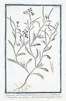  no thumbnail available