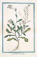  no thumbnail available