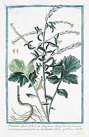  no thumbnail available