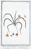  no thumbnail available