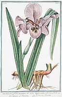  no thumbnail available