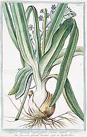  no thumbnail available