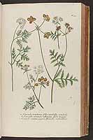  no thumbnail available