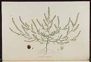  no thumbnail available