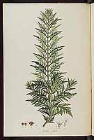  no thumbnail available