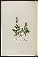  no thumbnail available