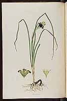  no thumbnail available