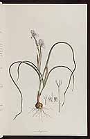  no thumbnail available