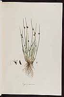  no thumbnail available