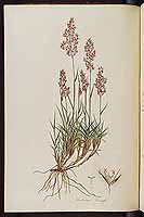  no thumbnail available