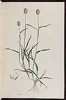  no thumbnail available