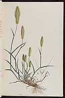  no thumbnail available