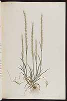  no thumbnail available