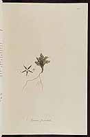  no thumbnail available