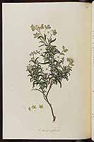  no thumbnail available