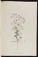  no thumbnail available