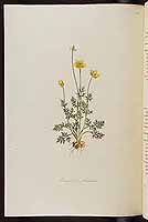  no thumbnail available