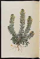  no thumbnail available