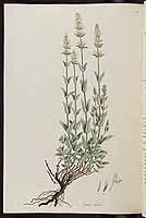  no thumbnail available