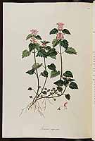  no thumbnail available