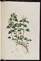  no thumbnail available