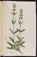  no thumbnail available