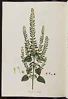  no thumbnail available