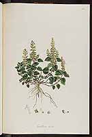  no thumbnail available