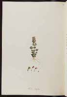  no thumbnail available