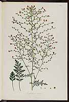  no thumbnail available