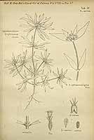  no thumbnail available