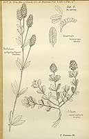  no thumbnail available