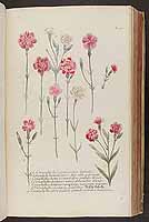  no thumbnail available