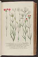  no thumbnail available