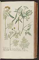  no thumbnail available