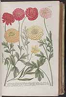  no thumbnail available