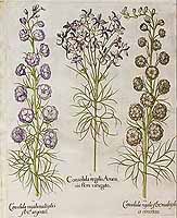  no thumbnail available